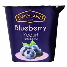 Dairyland Blueberry Yoghurt 150g